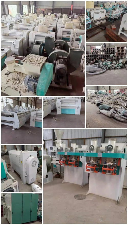 派普機(jī)械 面粉廠設(shè)備資產(chǎn)優(yōu)化新機(jī)遇