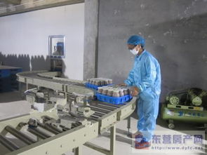 東營市產(chǎn)業(yè)雙輪驅(qū)動 食用菌產(chǎn)業(yè)發(fā)展與房地產(chǎn)開發(fā)的協(xié)同并進(jìn)